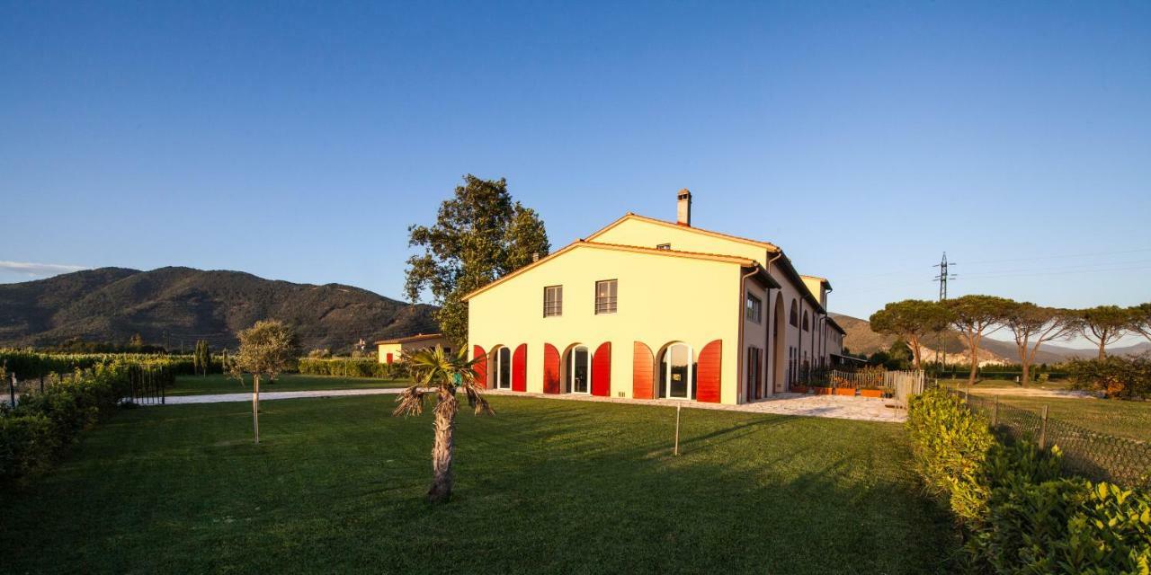 Cascina Canova B&B San Giuliano Terme Exterior foto